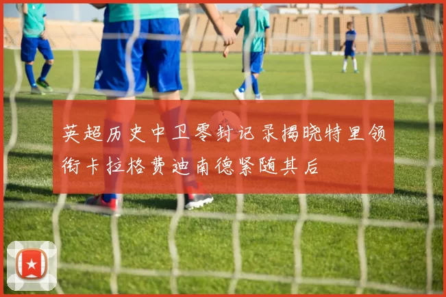 英超历史中卫零封记录揭晓特里领衔卡拉格费迪南德紧随其后